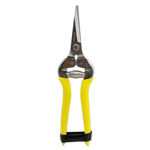 Imagen de Tijera de podar para fruta 7,5" - mi casa