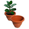 Imagen de Maceta plastica 18cmx15cm