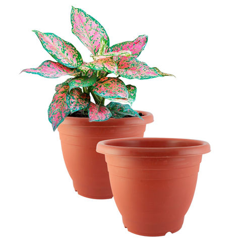 Imagen de Maceta plastica color ladrillo 16cmx13cm