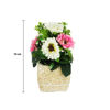 Imagen de Adorno maceta rústica con yerberas