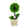 Imagen de Adorno maceta rústica con arbolitos