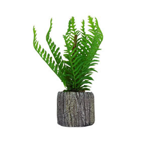 Imagen de Adorno maceta rústica con helecho