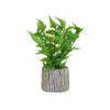 Imagen de Adorno maceta rústica con helecho