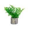 Imagen de Adorno maceta rústica con helecho