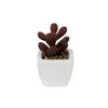 Imagen de Plantas decorativas cactus en florero  ceramica