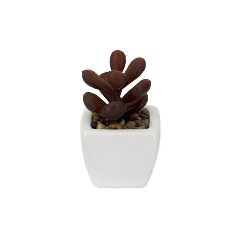Imagen de Plantas decorativas cactus en florero  ceramica