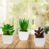 Imagen de Plantas decorativas cactus en florero  ceramica