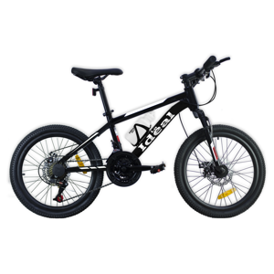 Imagen de Bicicleta montaña rodado 20 amortiguacion delantera lo ideal