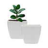 Imagen de Maceta plástica blanca cuadrada