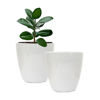 Imagen de Maceta plástica blanca cilíndrica