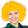 Imagen de Peluca pelo rulos