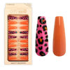 Imagen de Uñas postizas combinadas lisas y animal print 24 unidades Ushas
