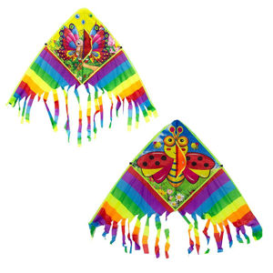 Imagen de Cometa con tanza