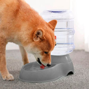 Imagen de Dispensador de agua para mascota