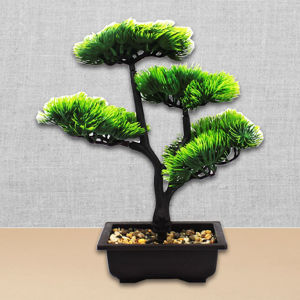 Imagen de Árbol bonsai con maceta
