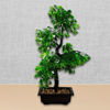 Imagen de Árbol bonsai con maceta