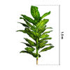 Imagen de Planta artificial Dieffenbachia - 1,5 m de altura