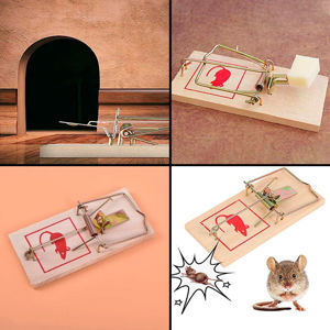 Imagen de Trampa en madera para ratones  2 Unidades