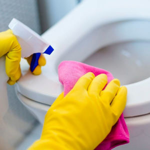 Imagen de Limpiador líquido para baños con dispensador de gatillo 550ml