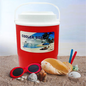 Imagen de Conservadora con canilla dispensadora y asa 8 Litros