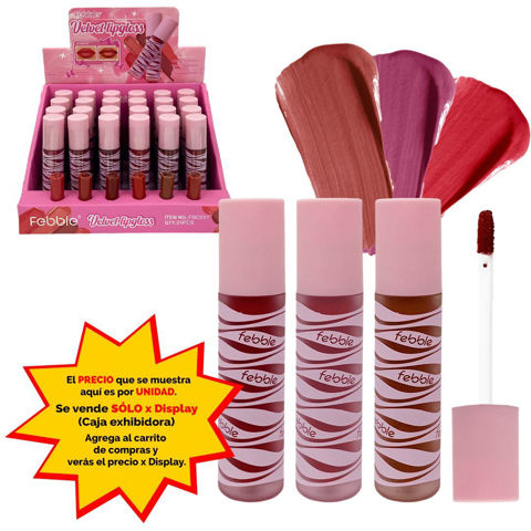 Imagen de Brillo labial Febble color-FBC017