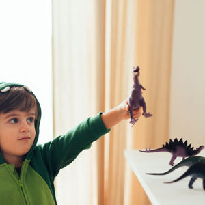 Imagen de Dinosaurios en bolsa-17x12cm.