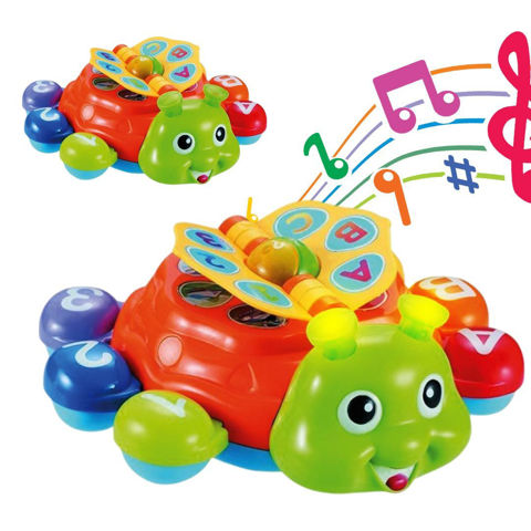 Imagen de Escarabajo musical-multicolor-en caja 28,5x23,5cm.-2 colores