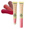 Imagen de Brillo labial Febble 2 en 1