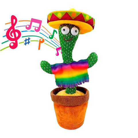 Imagen de Cactus bailarín Tuna Bailarina con sombrero