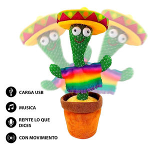 Imagen de Cactus bailarín Tuna Bailarina con sombrero