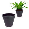 Imagen de Maceta plástica  9cm x 9cm