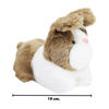 Imagen de Peluche Conejo 23cm - 4 colores