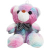 Imagen de Peluche Oso Multicolor Diseños Surtidos