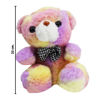 Imagen de Peluche Oso Multicolor Diseños Surtidos