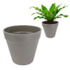 Imagen de Maceta plástica