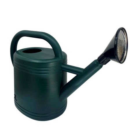 Imagen de Regadera plástica 3 Lts  Con asa y pico removible rociador