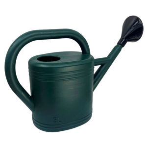 Imagen de Regadera plástica 3 Lts  Con asa y pico removible rociador