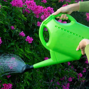 Imagen de Regadera plástica 5 litros  con flor removible