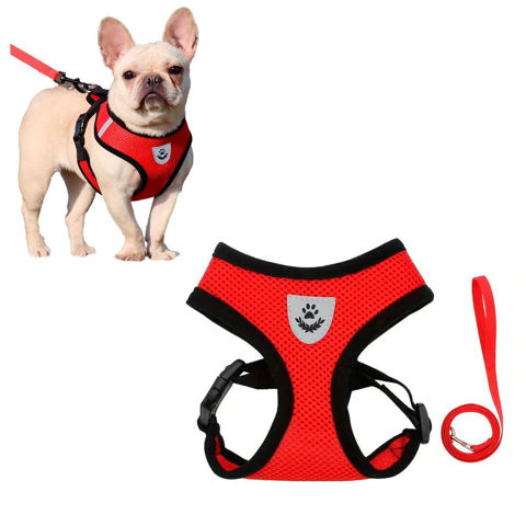 Imagen de Arnés Pechera Para Mascotas con correa Talle XL