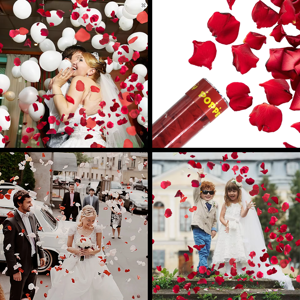 Imagen de Tubo lanza papelitos Pétalos - Cotillón