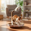 Imagen de Rascador para gatos - Redondo