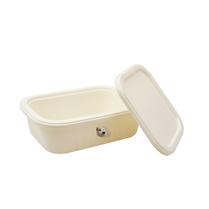 Imagen de Caja Organizadora en plástico Con tapa - 1 Caja de 24x16x 8cm