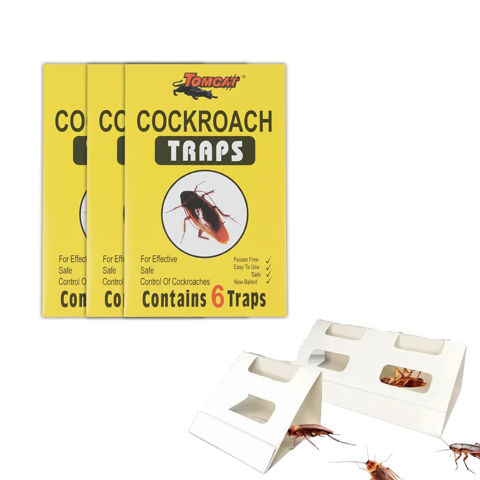 Imagen de Trampa para cucarachas - papel engomado