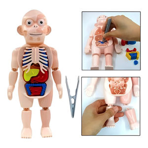 Imagen de Juego Puzzle de Anatomía Cuerpo Humano  -Juego Didáctico