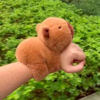 Imagen de Peluche Capibara Pulsera  - Juguete para niños