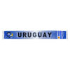 Imagen de Bufanda de Uruguay 1.30 Mt largo