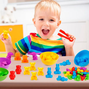 Imagen de Juego didáctico Clasificación de colores - Montessori