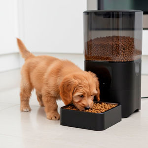 Imagen de Dispensador automático comida para mascota  Bluetooth