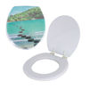 Imagen de Tapa inodoro water asiento acolchonado diseños estampados